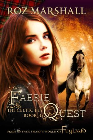 [The Celtic Fey 03] • Faerie Quest